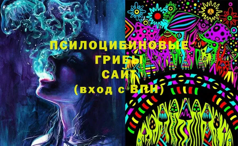 Галлюциногенные грибы Psilocybe  сколько стоит  Поронайск 